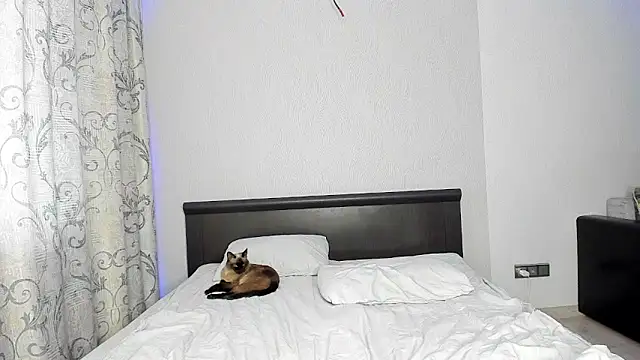 thespritespirit live XXX chat