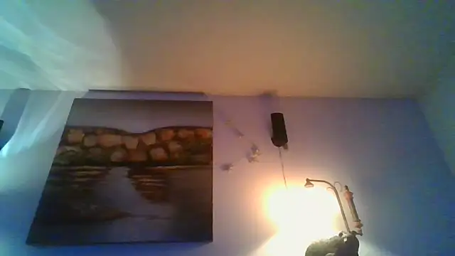 Show webcam de theboobietrap