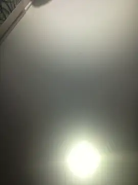 piggylatino webkamerás műsora