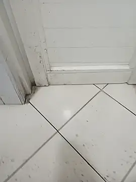 Živý XXX chat Stallionbull37