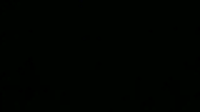 Show Webcam de XjjripppX