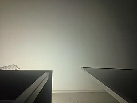 piggylatino's Webcam Show