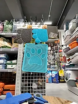 ShyAngel_X live XXX chat