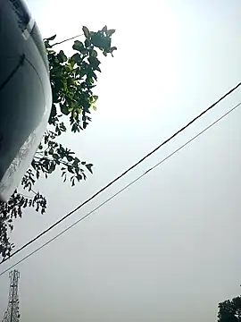 دردشة RandomSitcom الجنسية المباشرة