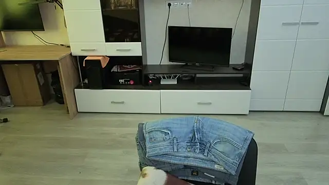 Show webcam de angryzan