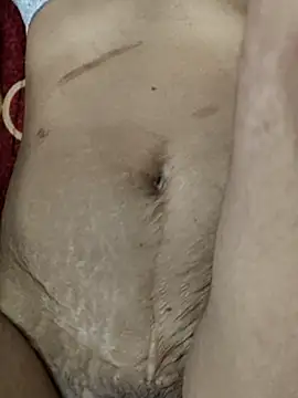 عرض كام FeltedEuropium