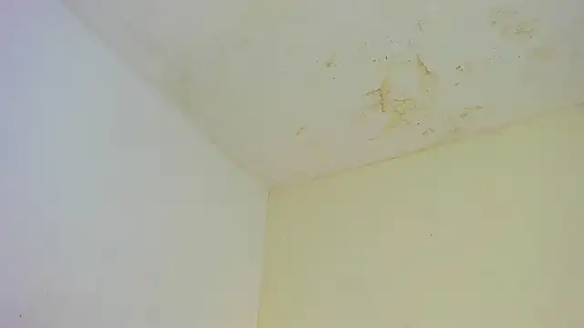 Zoe_Blake1: вебкам-шоу