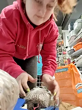 ShyAngel_X 现场XXX聊天