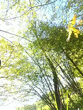 Chat XXX en directo de jcv596