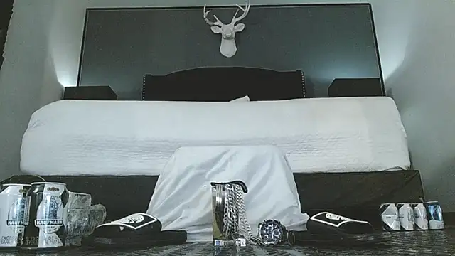 Show webcam de danilog515