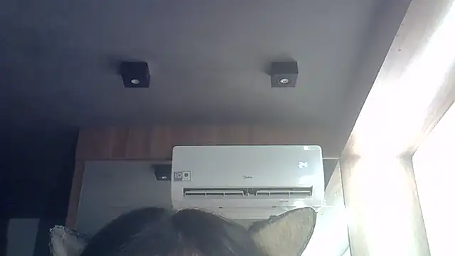 SkinnyKitten Live XXX-chat