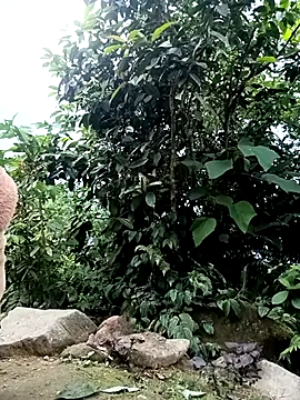 Hoa-tuylipのウェブカメラショー