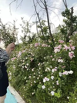 tianwei2567: вебкам-шоу