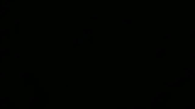 Show webcam de XjjripppX