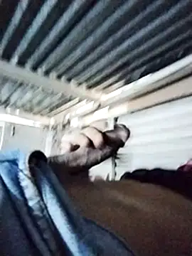 PUNEPLAYBOY2 Pertunjukan Webcam