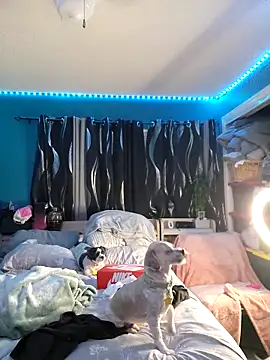 SexyNikki6969's Webcam Show