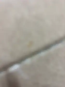 zxcvgf12300 在線直播表演