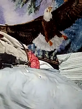 Show webcam de Mrluckstick