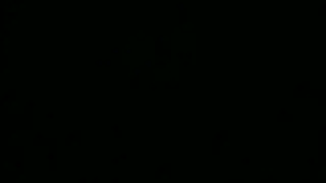 Show Webcam de XjjripppX