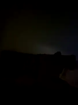 Chat XXX Live yourMasterisBored