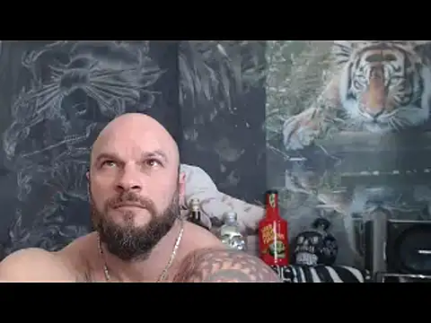 viking_30n Webbikameraesitys