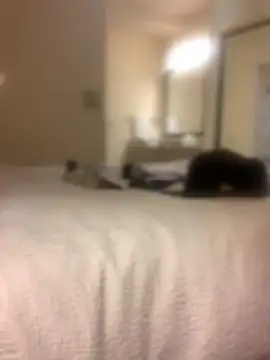 Ldnick69n Live XXX chat