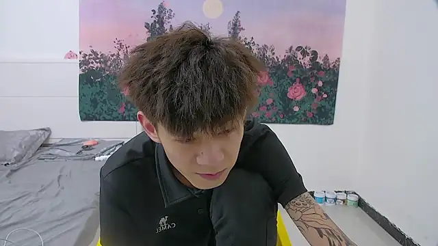 paofu-001n Webbikameraesitys