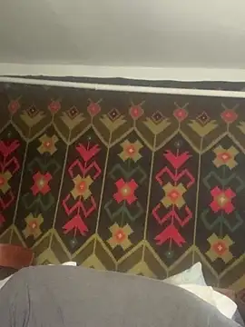 Frosl 即時 XXX 聊天