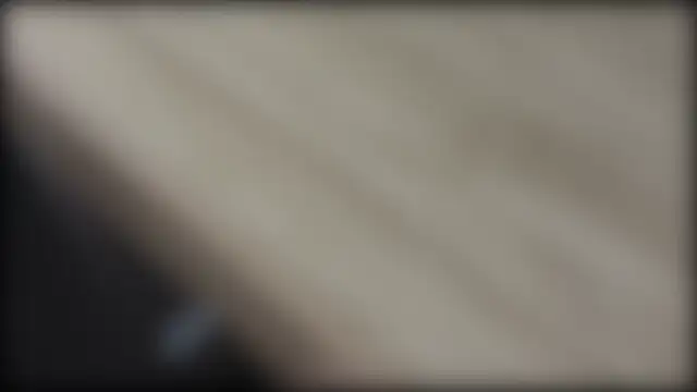 adelaide2026 Show Webcam