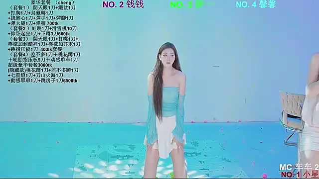 Show webcam de ZZ00033S