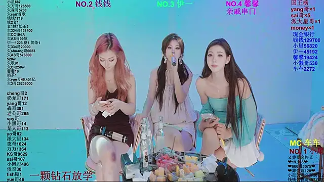 ZZ00033S Webcam-Show