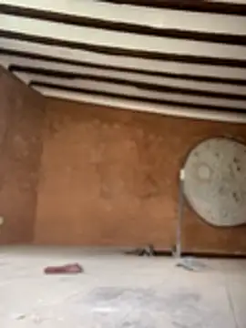 camelia3 Live XXX-Chat