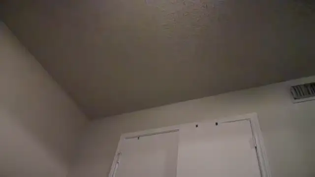 KungFuPanda001 Pertunjukan Webcam