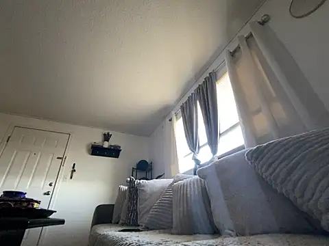 Show Webcam de Deknkei