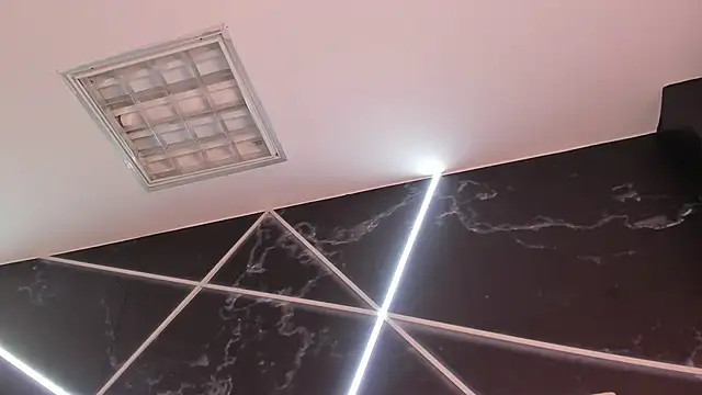 Show modela AerumChae na web-kameri