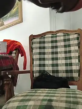 Foxdaguy's Webcam Show