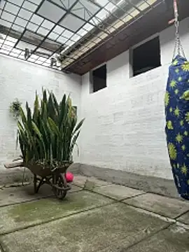 oliver_price1 Pertunjukan Webcam