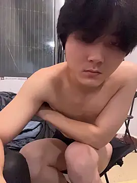 Show modela xf-110 na web-kameri