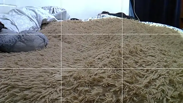 feeelipe2007 Webcamshow