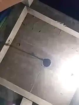 Pitercom 网络视讯表演