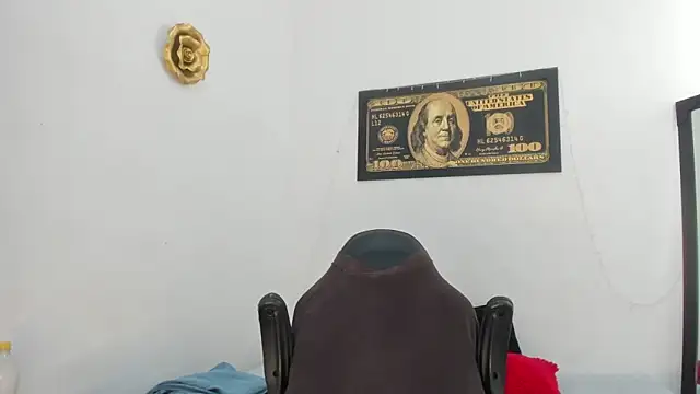 Show webcam de horus_gil