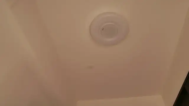 miRei- Chat XXX live