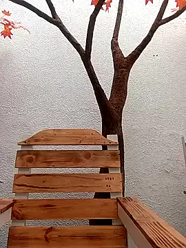 Dante_Knoxのウェブカメラショー