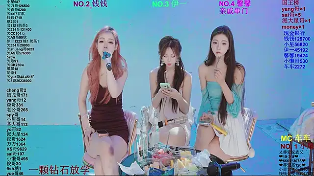 ZZ00033S Show Webcam