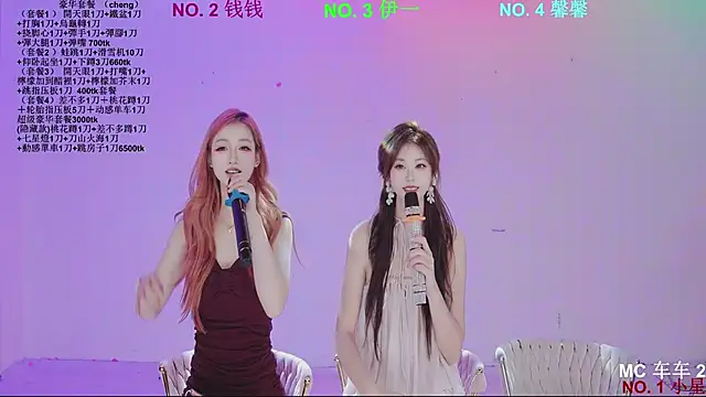 ZZ00033S Show Webcam