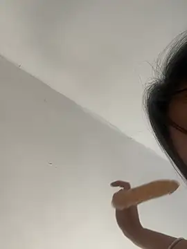 evachinoise 网络视讯表演