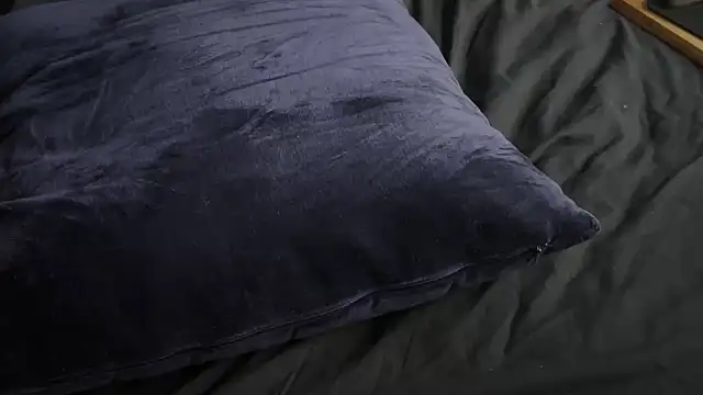 adelaide2026 webcam show