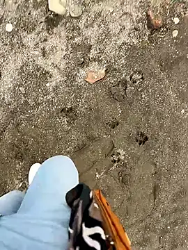 Jesssexboy – Kamerová šou