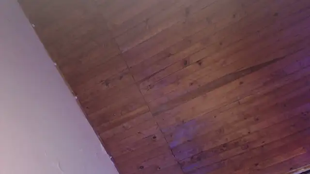 ArturoCardona_のウェブカメラショー