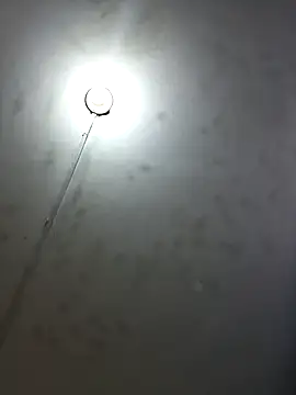 Show de Paizinhomau na webcam